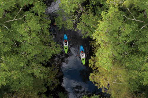 Aerial view of two people in bright green and blue kayaks paddling down a dark, narrow river surrounded by dense green trees.